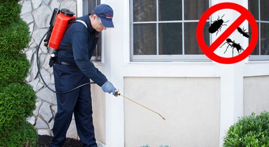 Egekent Hamam Böceği İlaçlama böcek ilaçlama ve haşere kontrolü — ilaclama-tr.com